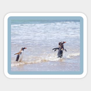 SPLASHING PENGUINS Sticker